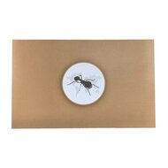 Antcover 40x25 nest