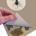 Antcover mierenkolonie donker houden