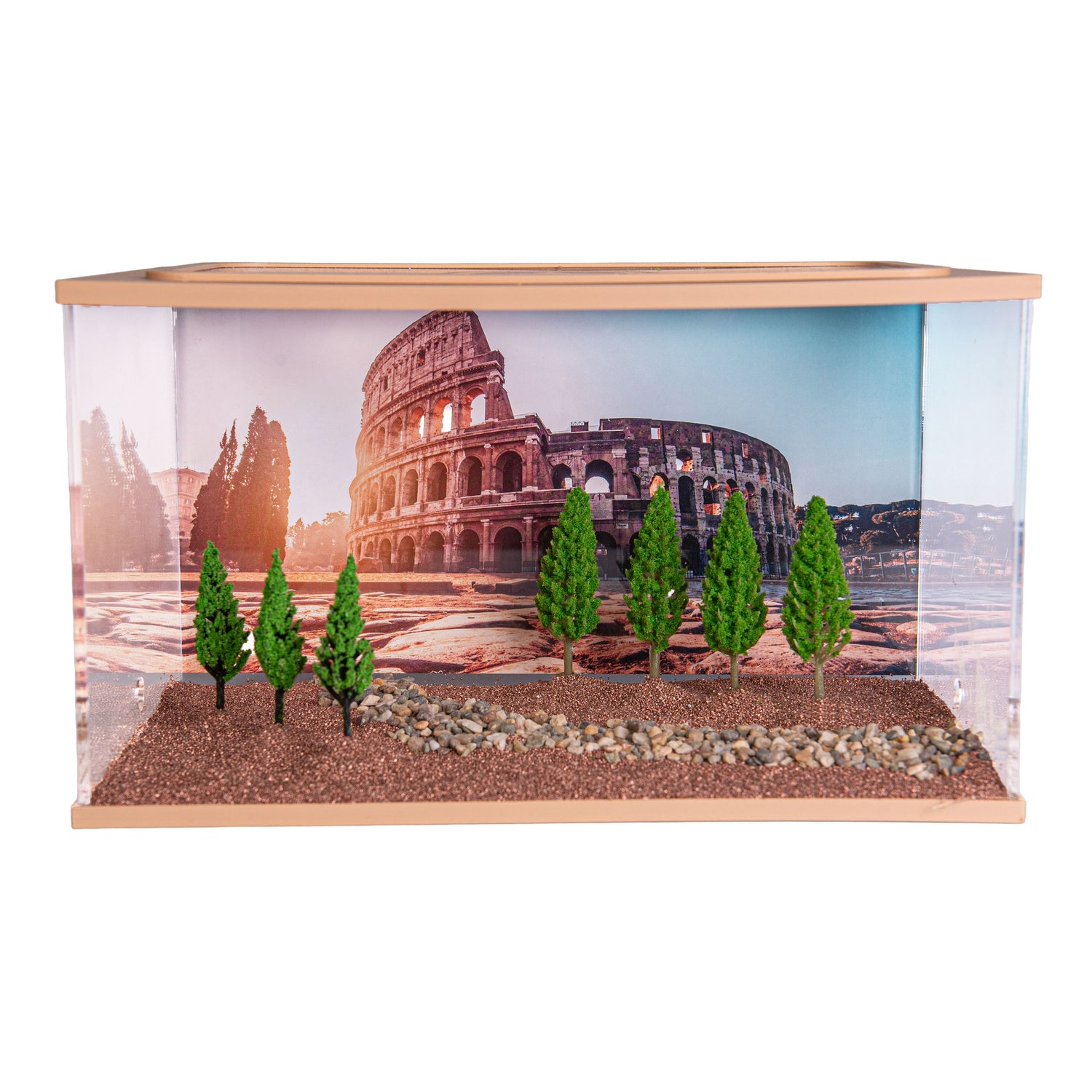 Ant Design Set - Capital (Ausstattung 25x16x15)