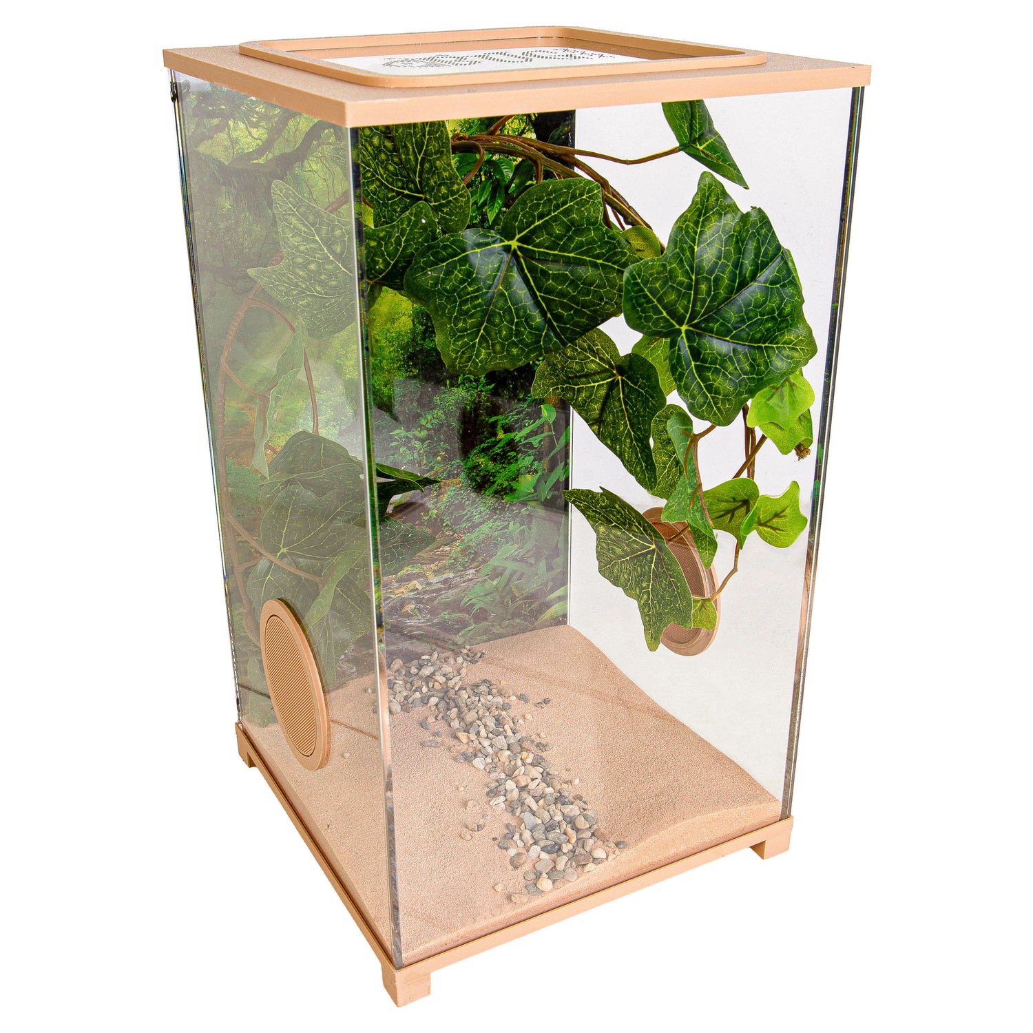 BioDome Bruin hoofdfoto terrarium