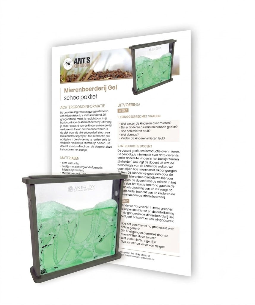 Ant Farm Gel School Pack - Educational Lesson Box for the Classroom