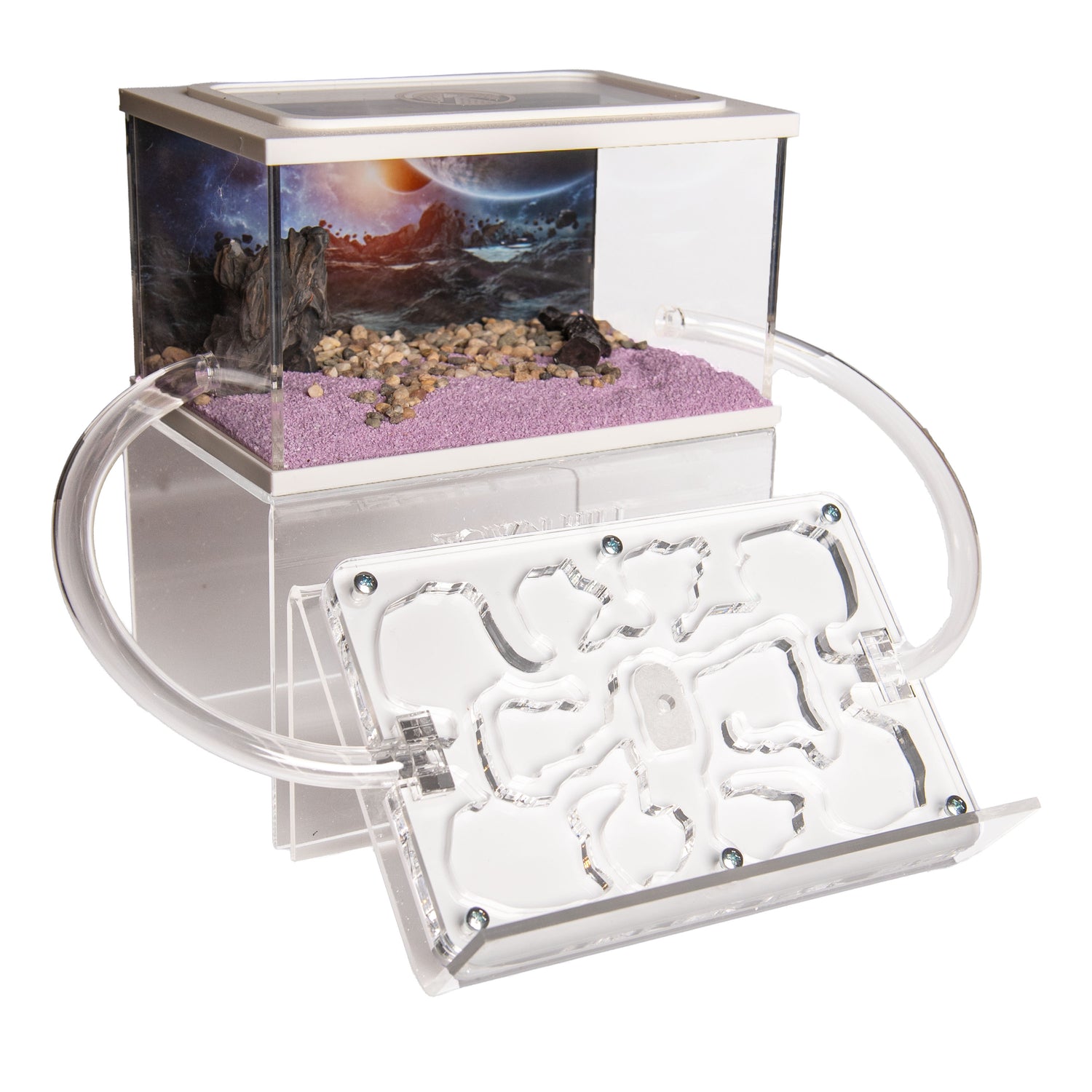 Ameisenfarm Acryl Starter-Set – Selbst zusammenstellen