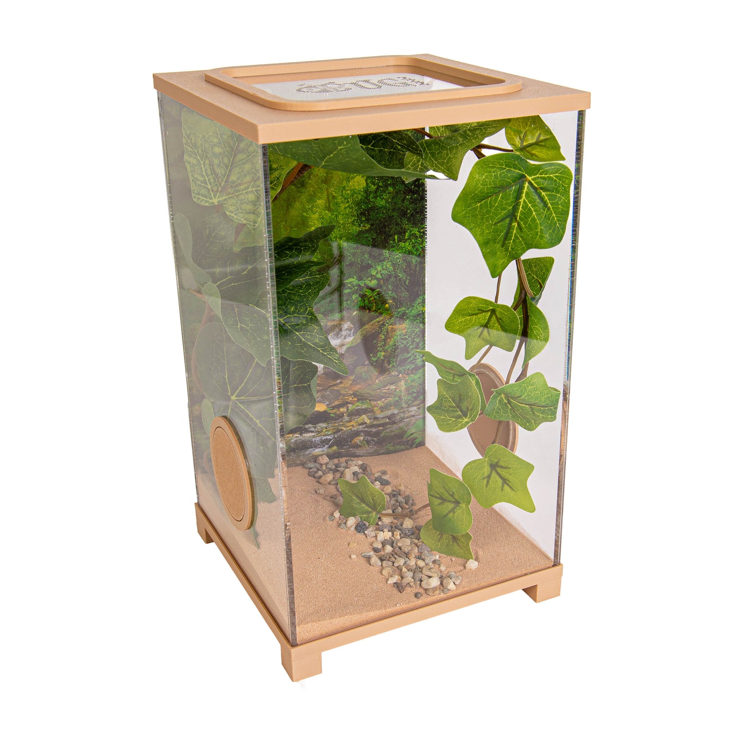 Insekten-Terrarium – BioDome Grün (20x20x34 cm)