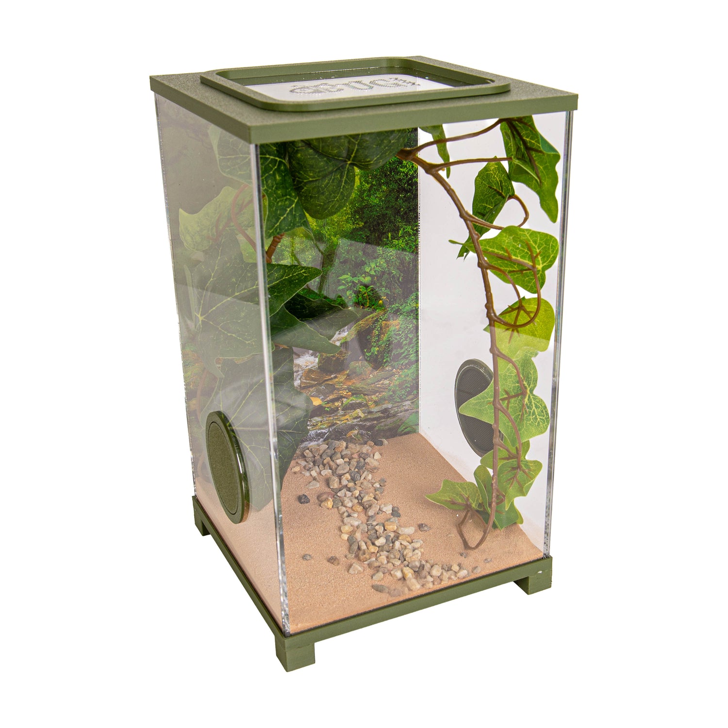 Insekten-Terrarium – BioDome Grün (20x20x34 cm)