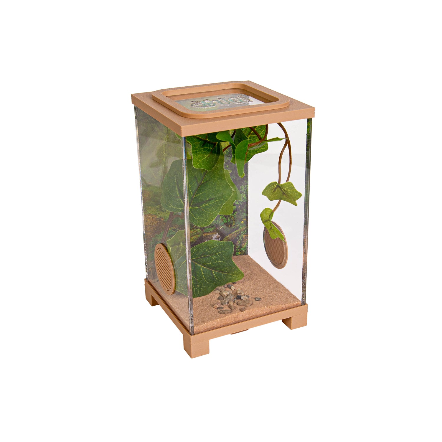 Insekten-Terrarium – BioDome Grün (20x20x34 cm)