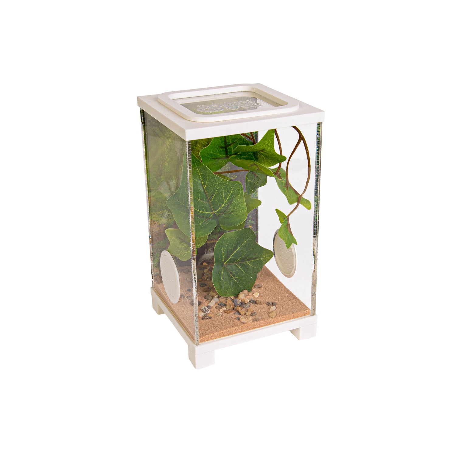 Insekten-Terrarium – BioDome Grün (20x20x34 cm)
