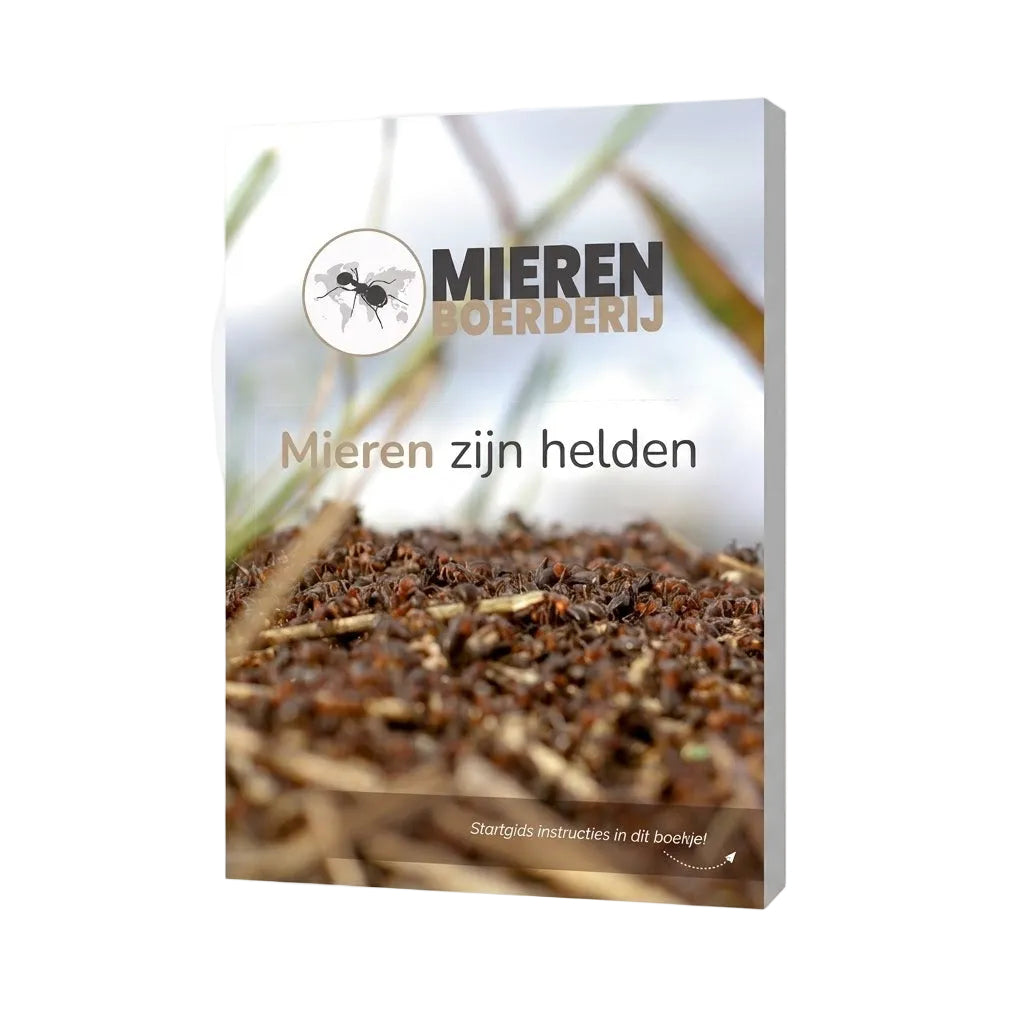Informatieboekje 'Mieren zijn Helden!' - Educatief Boekje over Mieren