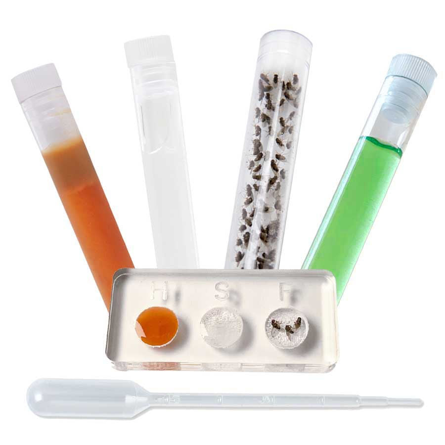 Deluxe Food Set -> all-in-one nutrition package for ants