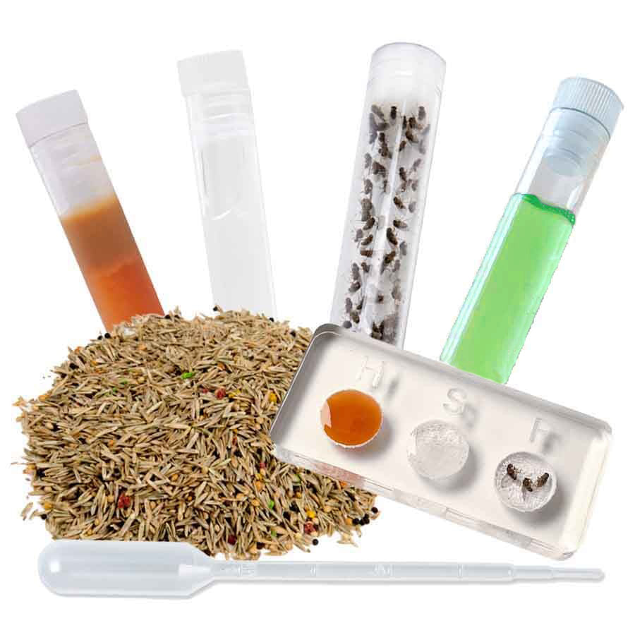 Deluxe Nutrition Set including Seeds -> all-in-one nutrition package for harvest ants
